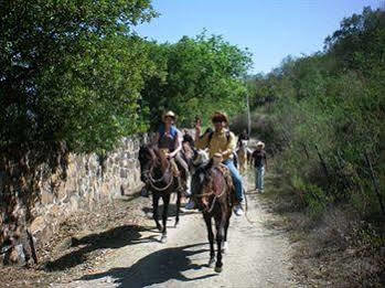 Eco Aventuras Santiago Hotell Santiago  Exteriör bild